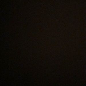 Meet your Posher, Carlye